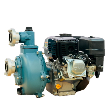 1AA MSHP60 blue 1AA MSHP60 blue